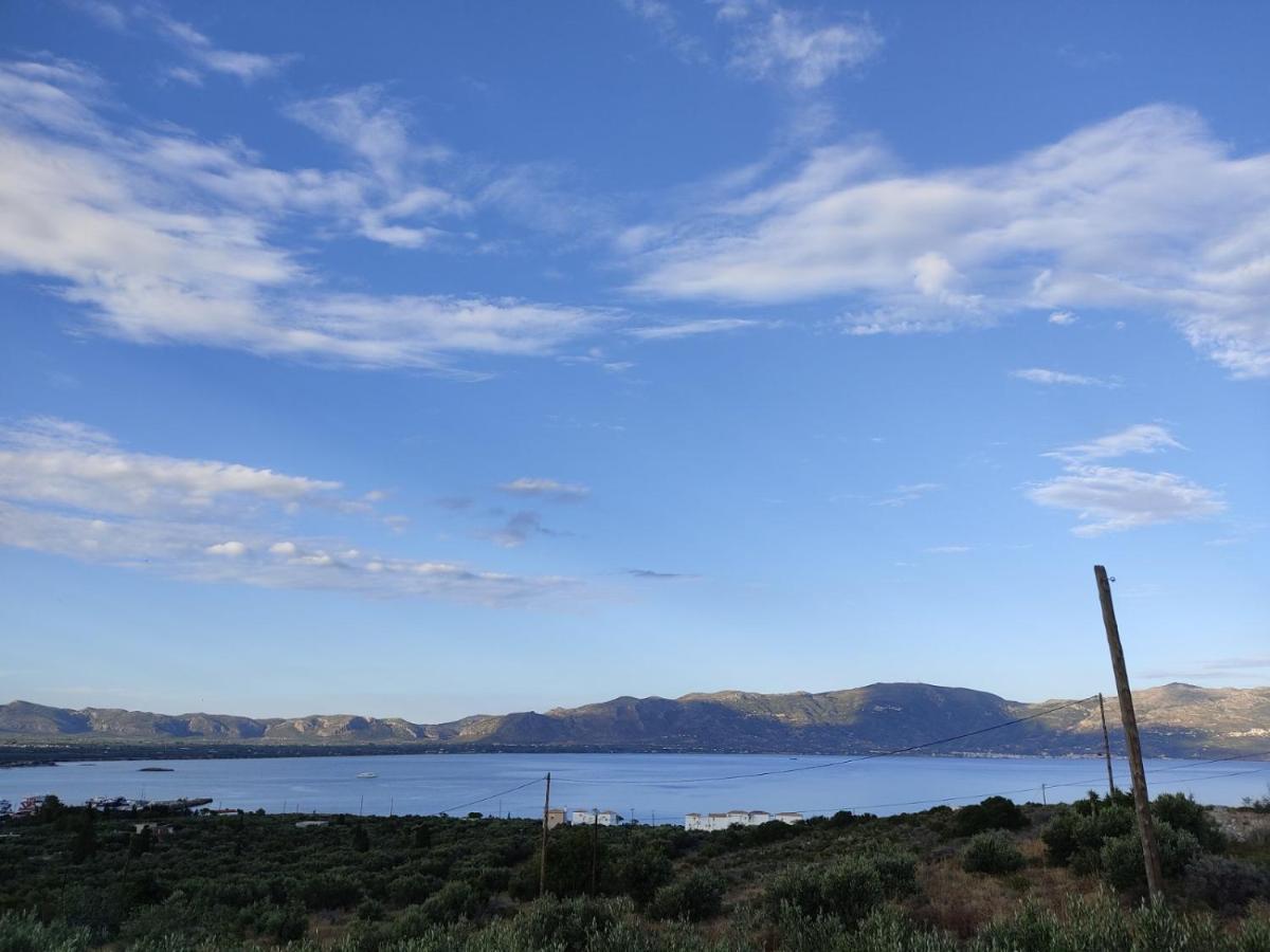 エラフォニソス House With Unique Viewヴィラ エクステリア 写真
